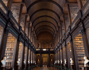 Read more about the article Tortor neque adpiscing diam