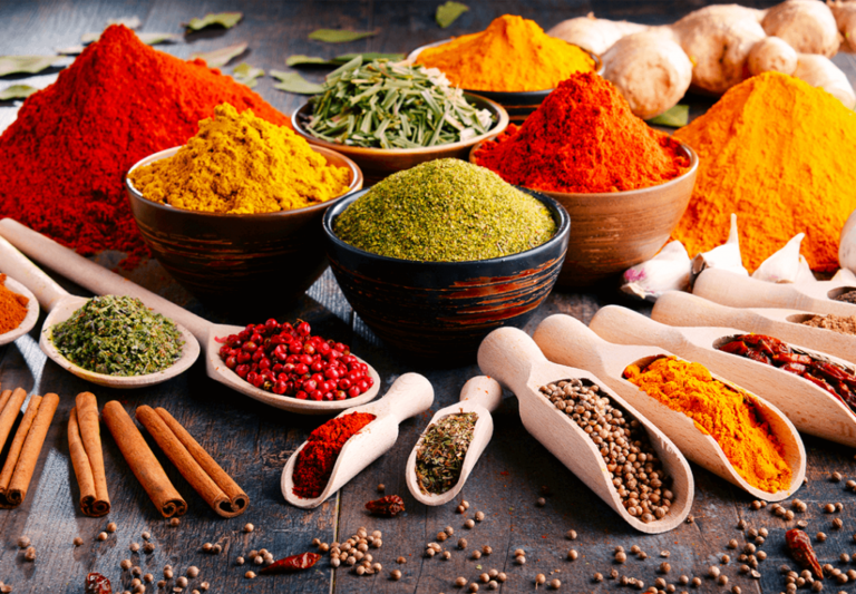 Read more about the article Litora torqent per conubia